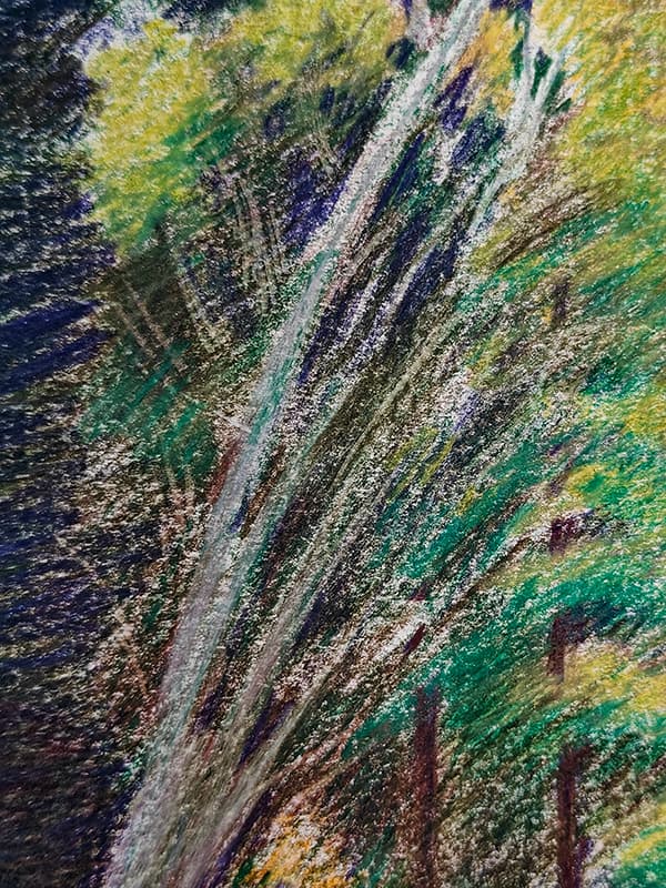 Detail: lichtgrijze takken die schuin door het beeld lopen, met lagen donkerblauw, paars en groen kleurpotlood errond en eroverheen.